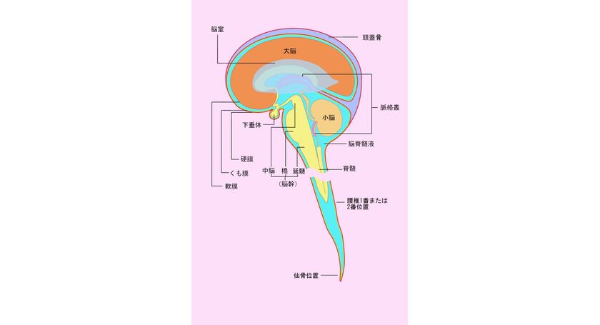 肩凝りってどんな症状？原因や対処方法まで徹底解説（対処法２）