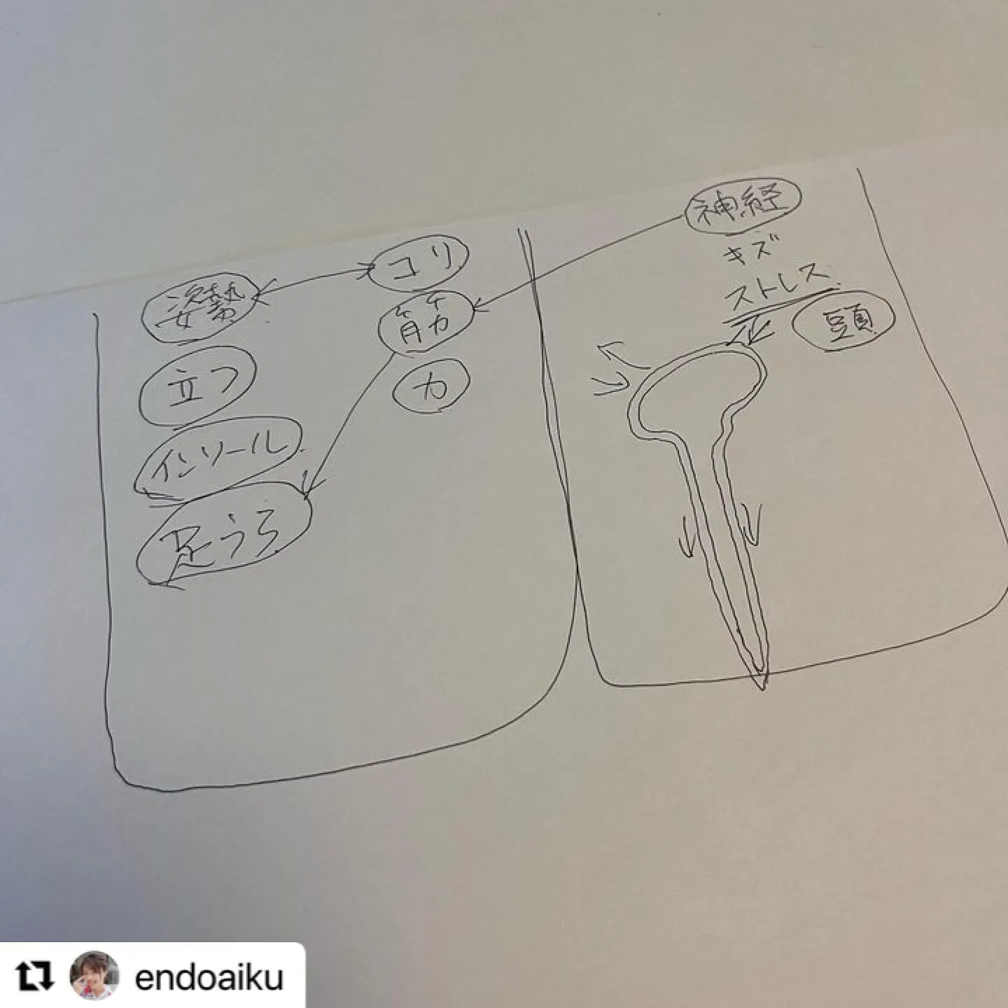 #Repost @endoaiku with @use.re...
